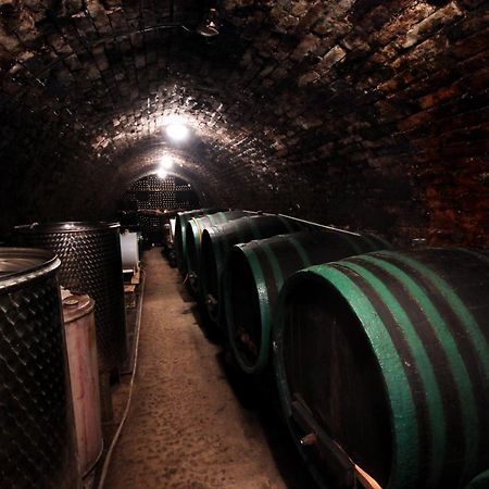 霍拉库瑞佛酒店 Bořetice 外观 照片