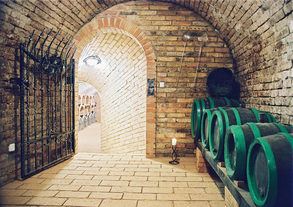 霍拉库瑞佛酒店 Bořetice 外观 照片